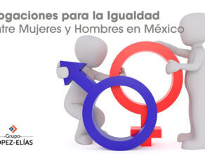 Erogaciones para la Igualdad entre Mujeres y Hombres en México